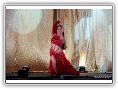 DESFILE MERCADO PERSA 2012